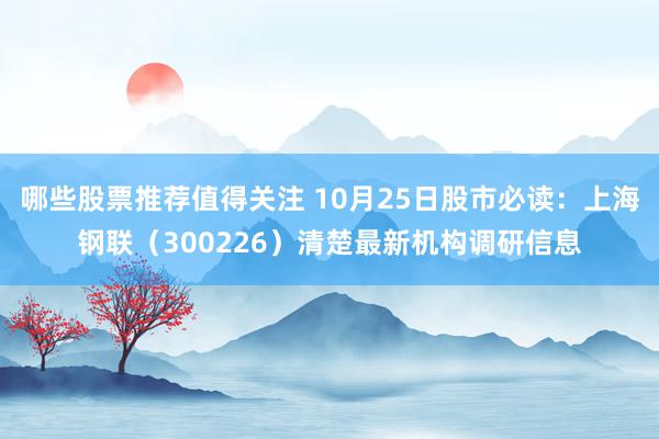 哪些股票推荐值得关注 10月25日股市必读：上海钢联（300226）清楚最新机构调研信息