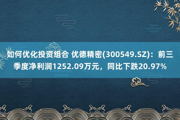 如何优化投资组合 优德精密(300549.SZ)：前三季度净利润1252.09万元，同比下跌20.97%