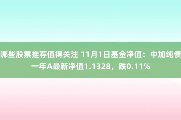 哪些股票推荐值得关注 11月1日基金净值：中加纯债一年A最新净值1.1328，跌0.11%