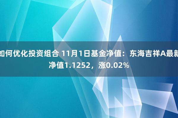 如何优化投资组合 11月1日基金净值：东海吉祥A最新净值1.1252，涨0.02%