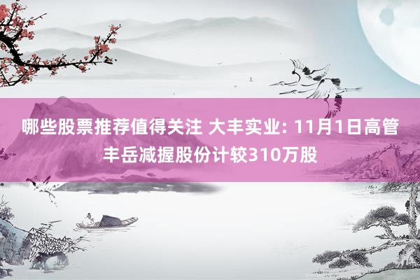 哪些股票推荐值得关注 大丰实业: 11月1日高管丰岳减握股份计较310万股