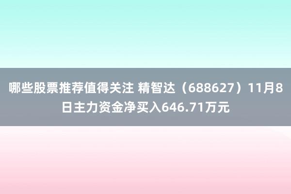 哪些股票推荐值得关注 精智达（688627）11月8日主力资金净买入646.71万元