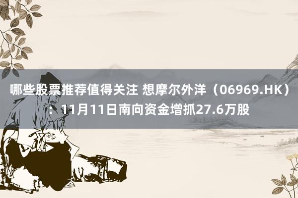 哪些股票推荐值得关注 想摩尔外洋（06969.HK）：11月11日南向资金增抓27.6万股