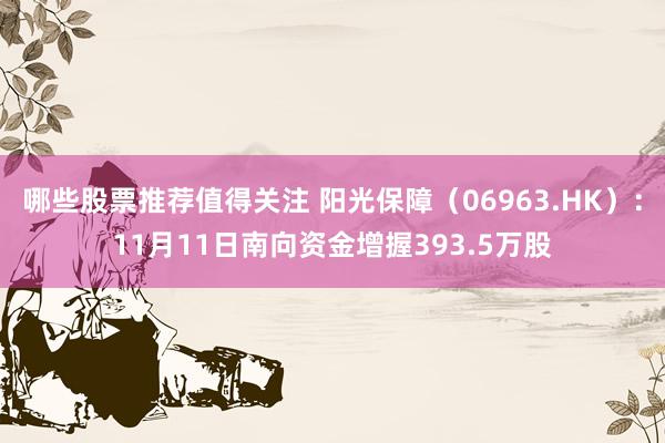 哪些股票推荐值得关注 阳光保障（06963.HK）：11月11日南向资金增握393.5万股