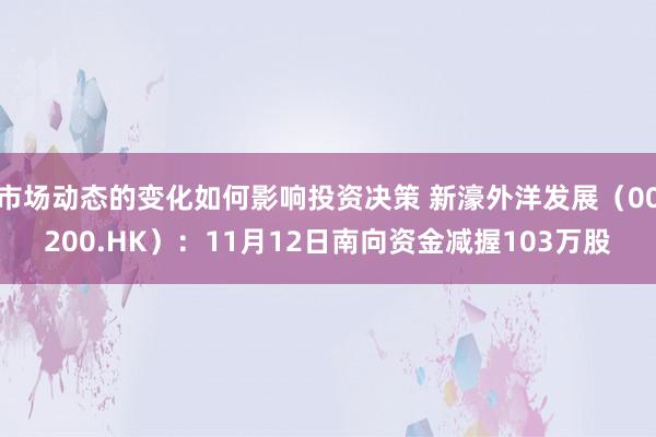 市场动态的变化如何影响投资决策 新濠外洋发展（00200.HK）：11月12日南向资金减握103万股