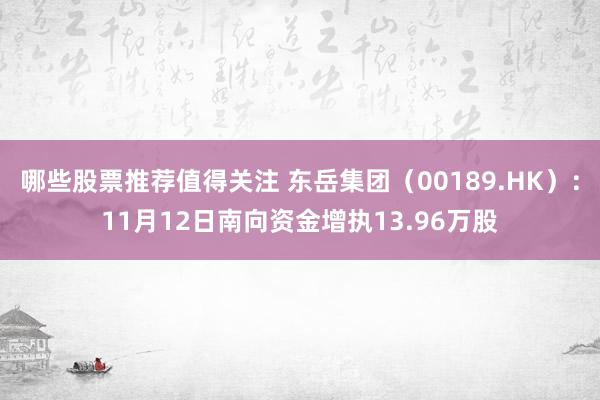 哪些股票推荐值得关注 东岳集团（00189.HK）：11月12日南向资金增执13.96万股