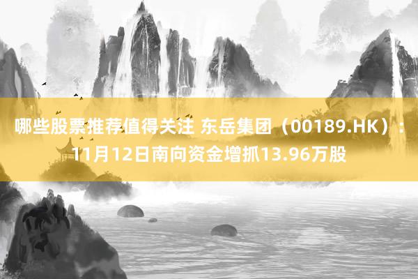 哪些股票推荐值得关注 东岳集团（00189.HK）：11月12日南向资金增抓13.96万股