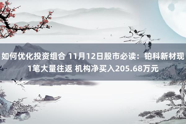 如何优化投资组合 11月12日股市必读：铂科新材现1笔大量往返 机构净买入205.68万元