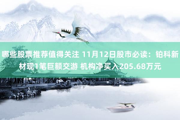 哪些股票推荐值得关注 11月12日股市必读：铂科新材现1笔巨额交游 机构净买入205.68万元