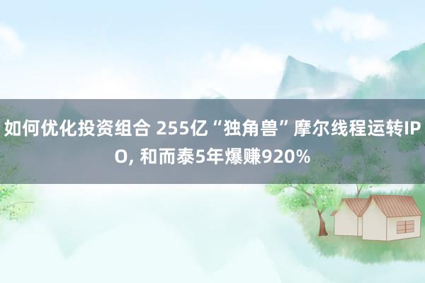 如何优化投资组合 255亿“独角兽”摩尔线程运转IPO, 和而泰5年爆赚920%