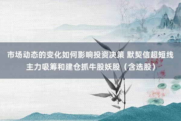 市场动态的变化如何影响投资决策 默契信超短线主力吸筹和建仓抓牛股妖股（含选股）