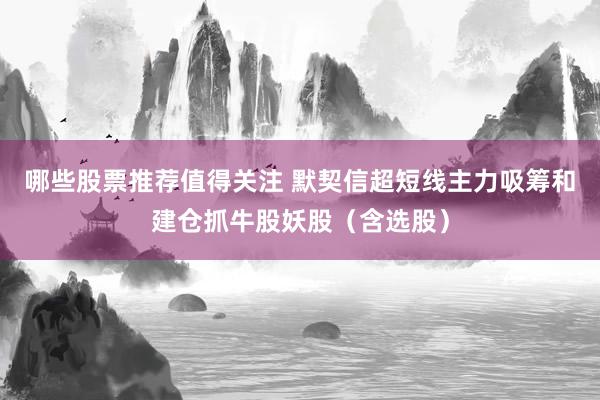 哪些股票推荐值得关注 默契信超短线主力吸筹和建仓抓牛股妖股（含选股）