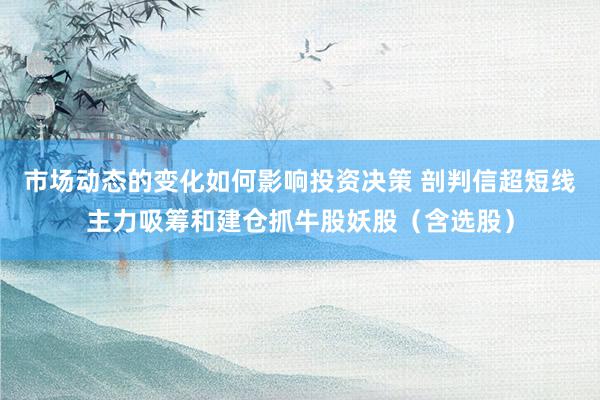 市场动态的变化如何影响投资决策 剖判信超短线主力吸筹和建仓抓牛股妖股（含选股）