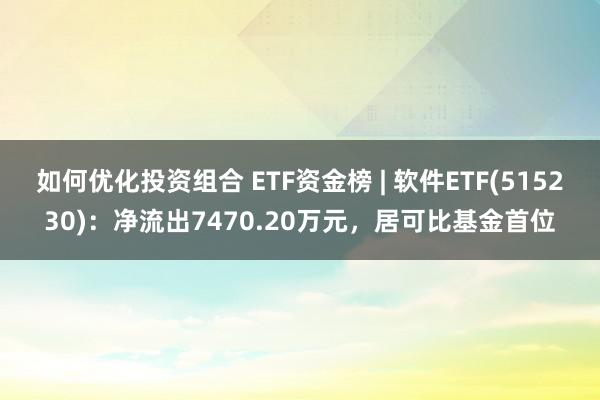 如何优化投资组合 ETF资金榜 | 软件ETF(515230)：净流出7470.20万元，居可比基金首位