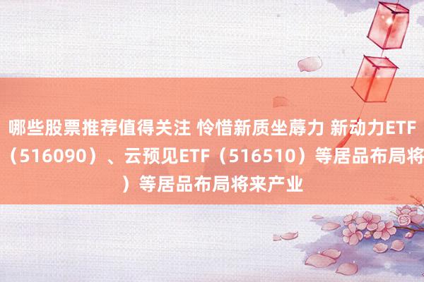 哪些股票推荐值得关注 怜惜新质坐蓐力 新动力ETF易方达（516090）、云预见ETF（516510）等居品布局将来产业