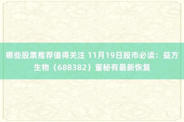 哪些股票推荐值得关注 11月19日股市必读：益方生物（688382）董秘有最新恢复