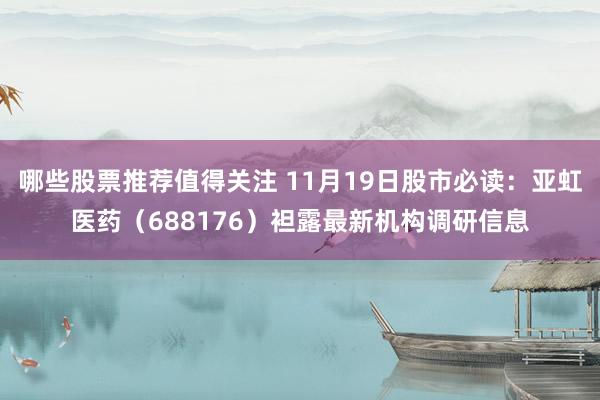 哪些股票推荐值得关注 11月19日股市必读：亚虹医药（688176）袒露最新机构调研信息