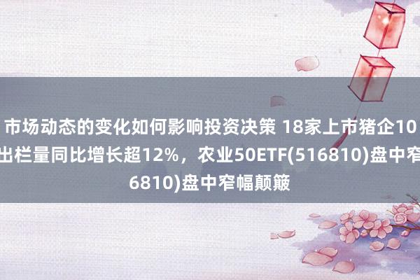 市场动态的变化如何影响投资决策 18家上市猪企10月想象出栏量同比增长超12%，农业50ETF(516810)盘中窄幅颠簸