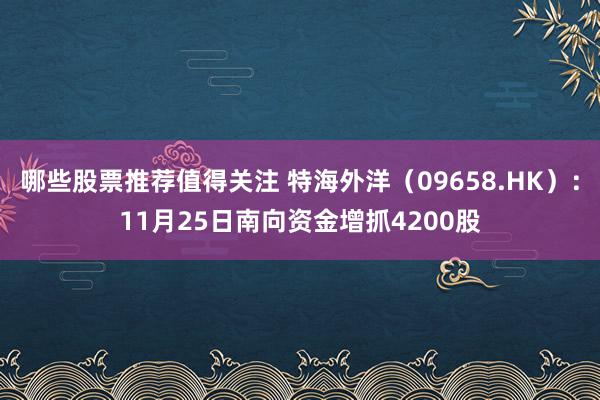 哪些股票推荐值得关注 特海外洋（09658.HK）：11月25日南向资金增抓4200股