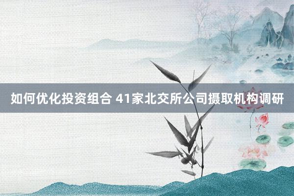 如何优化投资组合 41家北交所公司摄取机构调研