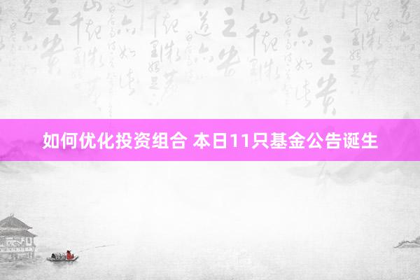 如何优化投资组合 本日11只基金公告诞生