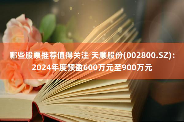 哪些股票推荐值得关注 天顺股份(002800.SZ)：2024年度预盈600万元至900万元