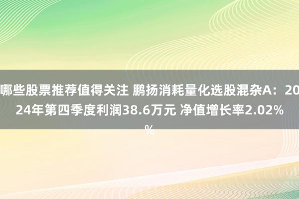 哪些股票推荐值得关注 鹏扬消耗量化选股混杂A：2024年第四季度利润38.6万元 净值增长率2.02%