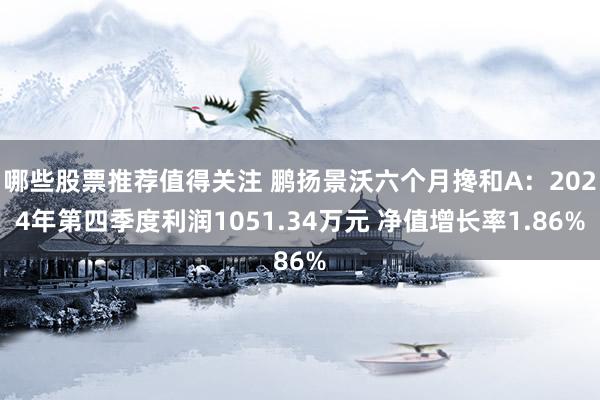 哪些股票推荐值得关注 鹏扬景沃六个月搀和A：2024年第四季度利润1051.34万元 净值增长率1.86%