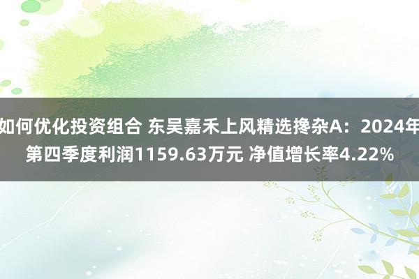 如何优化投资组合 东吴嘉禾上风精选搀杂A：2024年第四季度利润1159.63万元 净值增长率4.22%