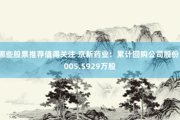 哪些股票推荐值得关注 京新药业：累计回购公司股份1005.5929万股