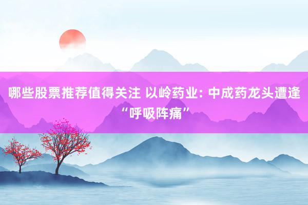 哪些股票推荐值得关注 以岭药业: 中成药龙头遭逢“呼吸阵痛”