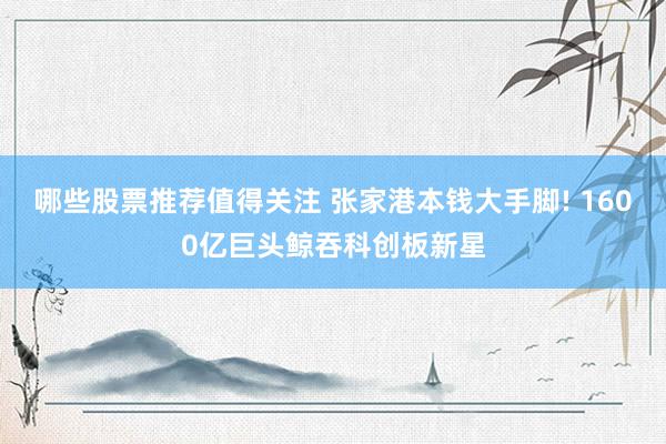 哪些股票推荐值得关注 张家港本钱大手脚! 1600亿巨头鲸吞科创板新星