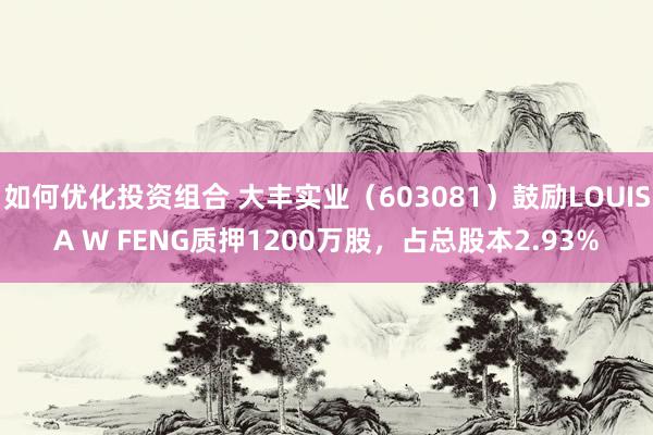 如何优化投资组合 大丰实业（603081）鼓励LOUISA W FENG质押1200万股，占总股本2.93%