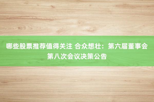 哪些股票推荐值得关注 合众想壮：第六届董事会第八次会议决策公告