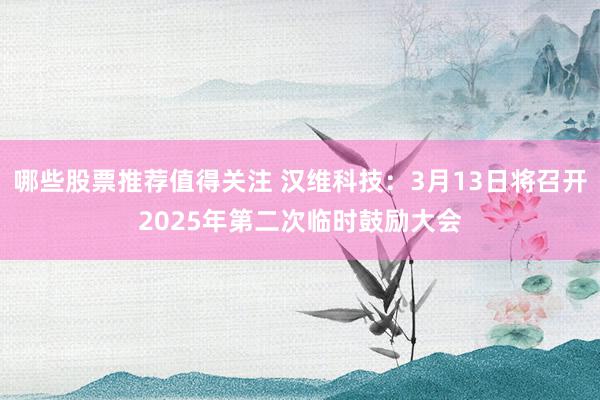 哪些股票推荐值得关注 汉维科技：3月13日将召开2025年第二次临时鼓励大会