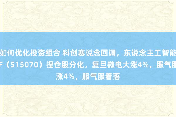 如何优化投资组合 科创赛说念回调，东说念主工智能AIETF（515070）捏仓股分化，复旦微电大涨4%，服气服着落