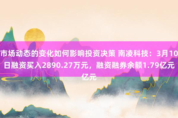 市场动态的变化如何影响投资决策 南凌科技：3月10日融资买入2890.27万元，融资融券余额1.79亿元