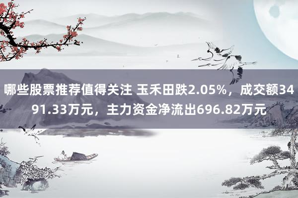 哪些股票推荐值得关注 玉禾田跌2.05%，成交额3491.33万元，主力资金净流出696.82万元