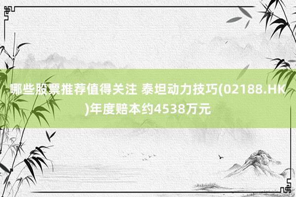 哪些股票推荐值得关注 泰坦动力技巧(02188.HK)年度赔本约4538万元